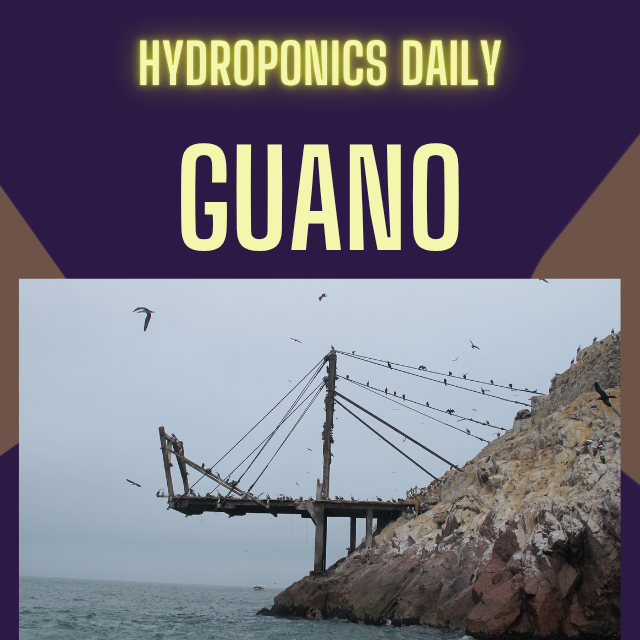 Hydroponics Daily