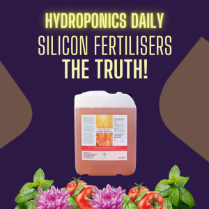 Unveiling the REAL Truth About Silicon Fertilizers