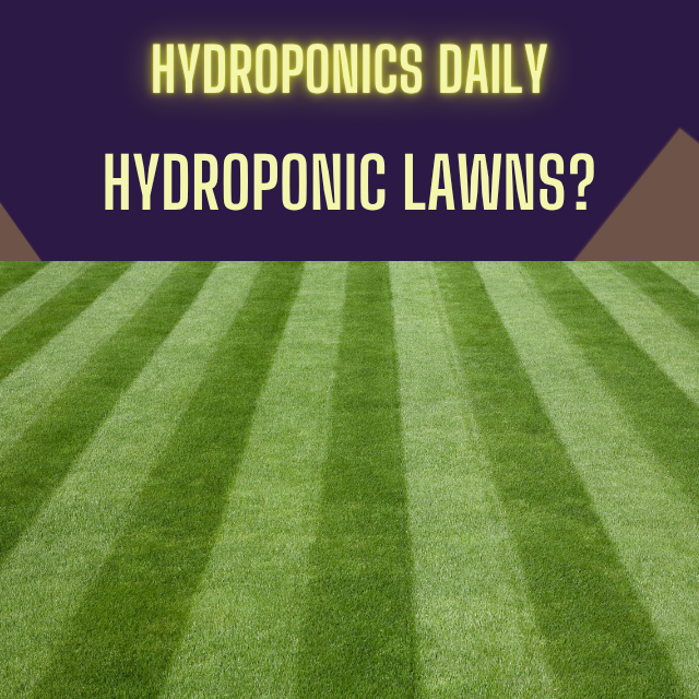 Hydroponics Daily