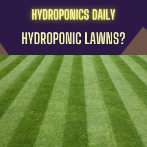 Hydroponic Lawns: Is Soil-Free Turf the Future?