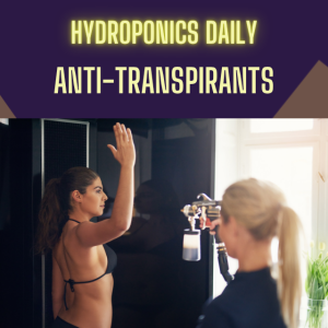 Antitranspirants in Hydroponics?