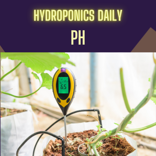 Hydroponics Daily
