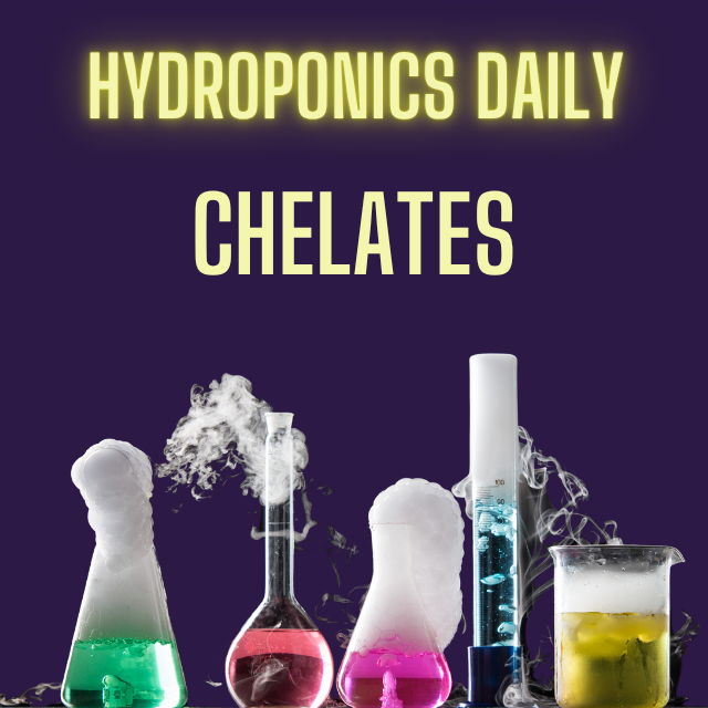Hydroponics Daily