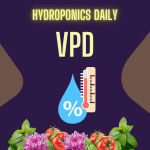 Mastering Humidity and VPD