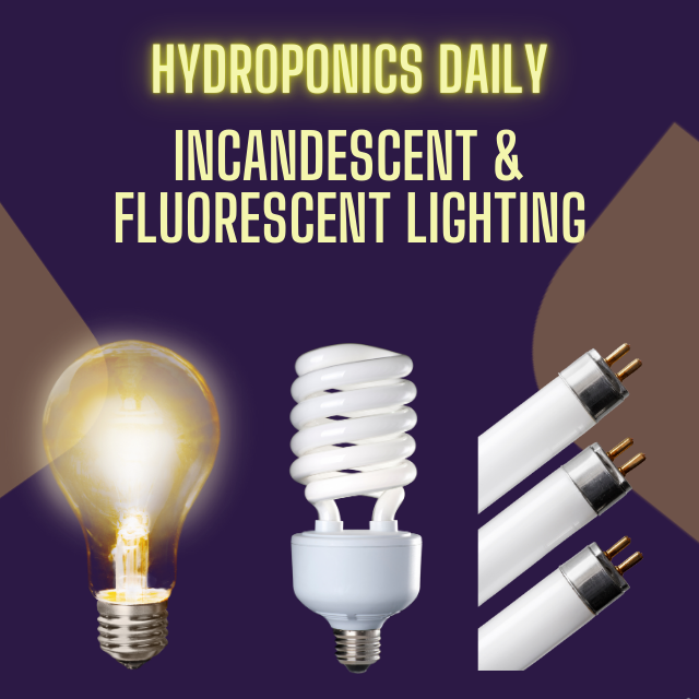 Hydroponics Daily
