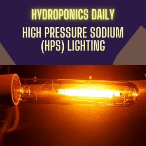 Sodium vs. Metal Halide Lamps