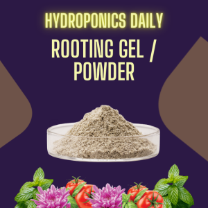 The Truth About Rooting Hormones: What You Need to Know for Hydroponics