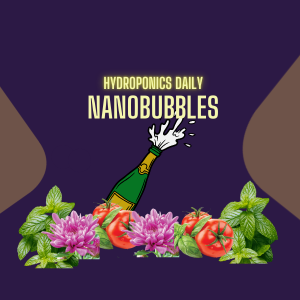 Nanobubbles in Hydroponics