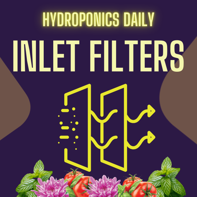 Hydroponics Daily