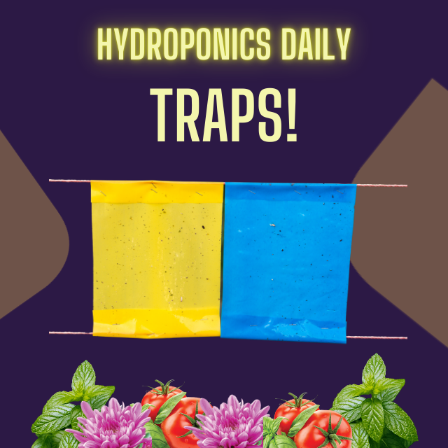Hydroponics Daily