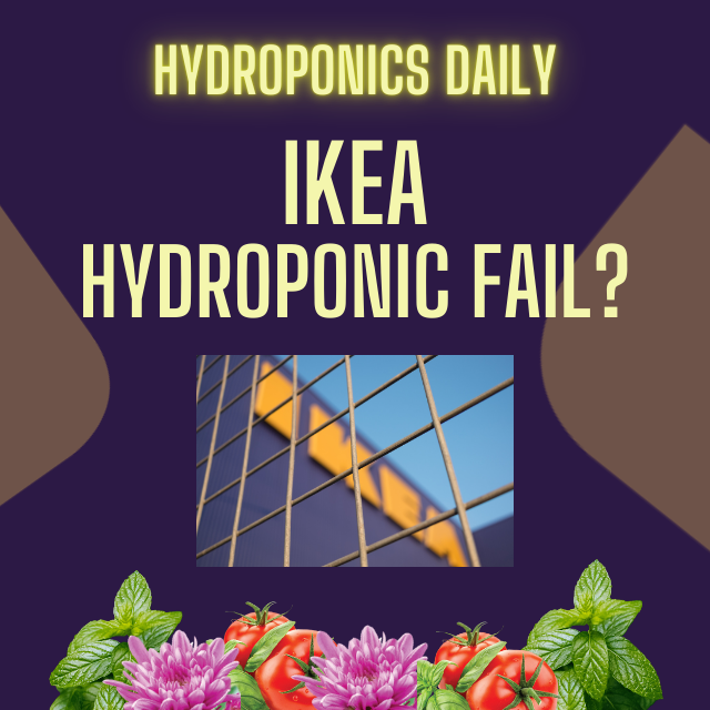 Hydroponics Daily