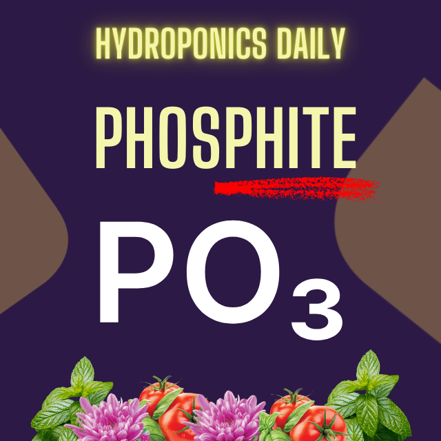 Hydroponics Daily