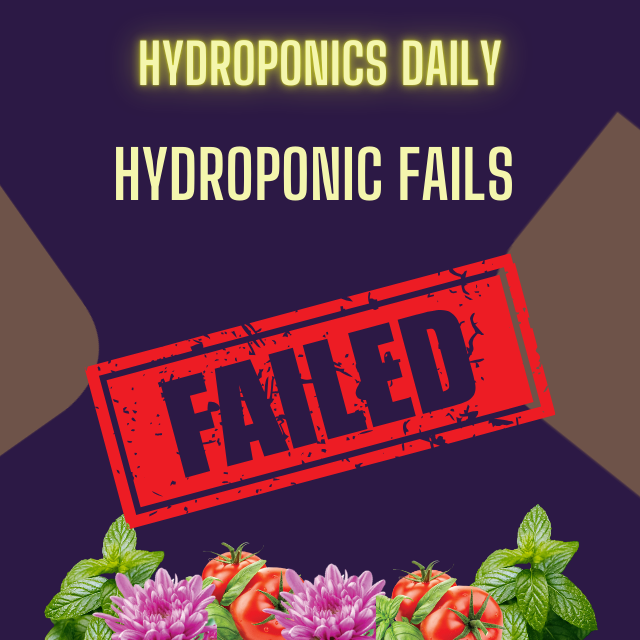Hydroponics Daily