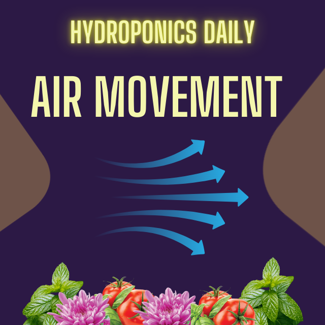 Hydroponics Daily