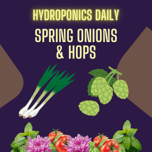 Spring Onions and Hops: Revolutionizing Hydroponics in 2025