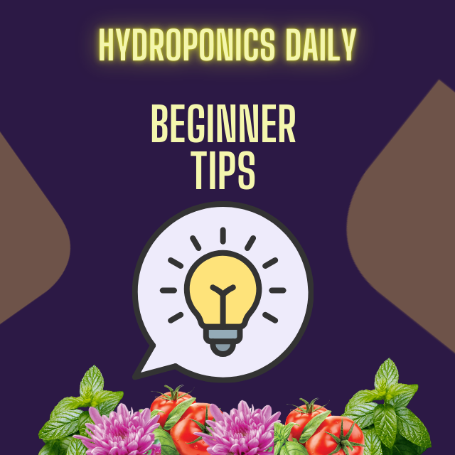 Hydroponics Daily