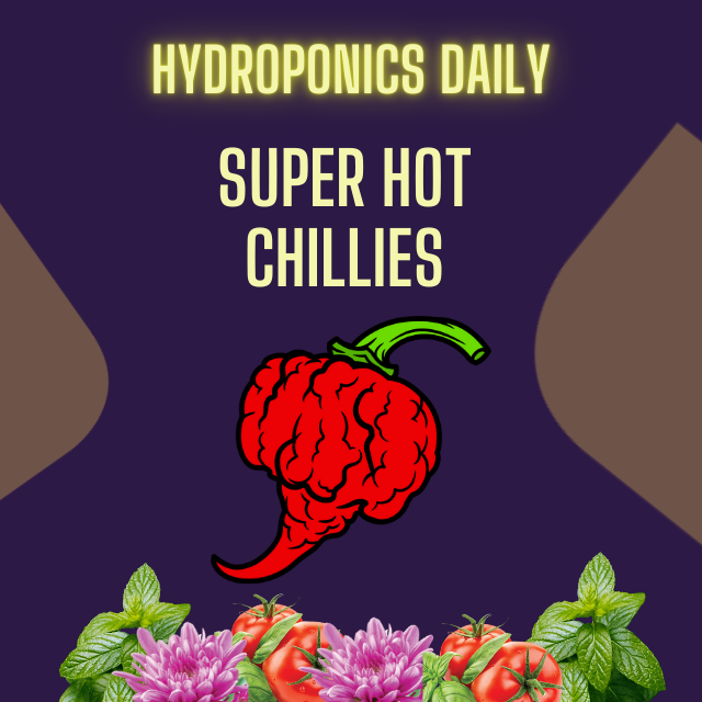 Hydroponics Daily