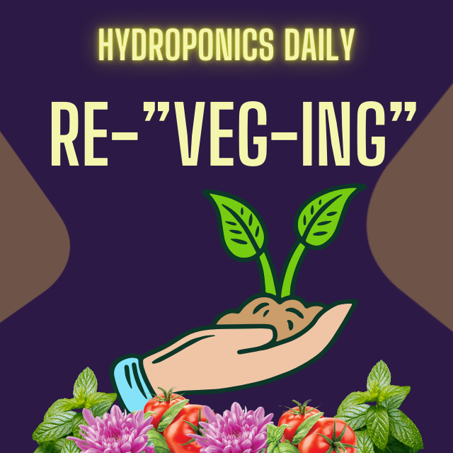 Hydroponics Daily
