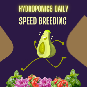 Speed Breeding with Hydroponics