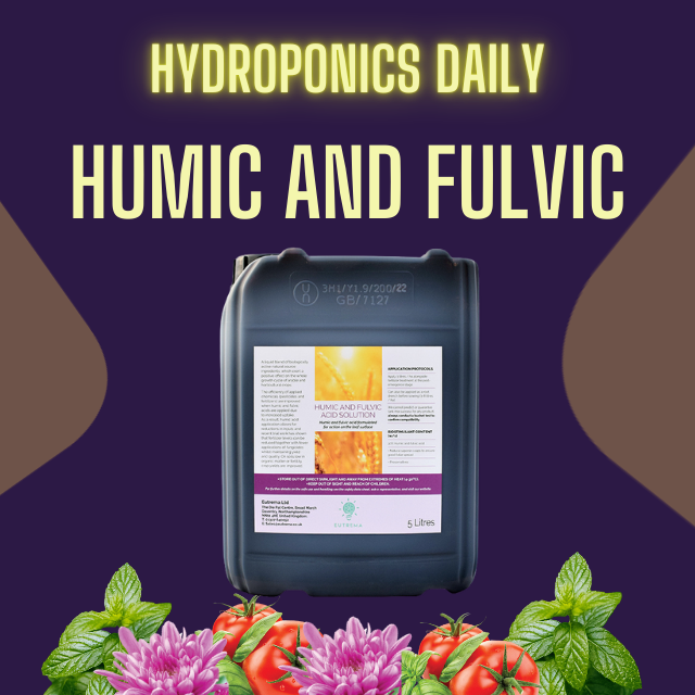 Hydroponics Daily