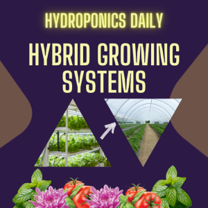 Hybrid Growing Techniques