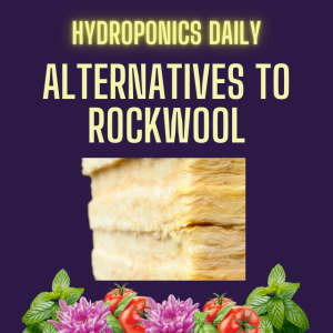 Alternatives to Rock Wool in NFT Systems