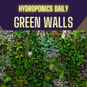 Green Walls, Vertical Gardens & Green Curtains