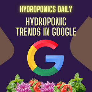 Hydroponic Insights from Google Trends