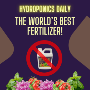 World's Best Fertilizer - and it is NOT Gold Leaf!