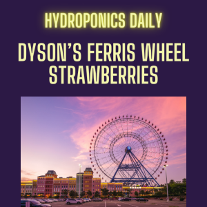 Dyson's New Ferris Wheel Hydroponic system