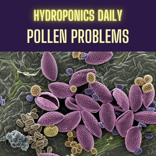 Hydroponics Daily