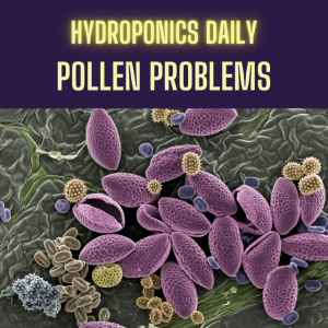 Inside the World of Pollen: A Deep Dive into Plant Reproduction and Hydroponics
