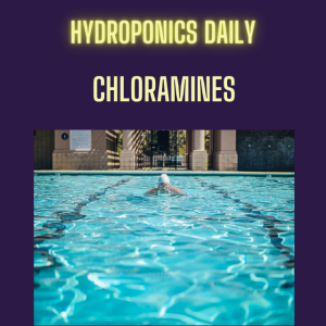 Chloramines - gassing off is not enough!