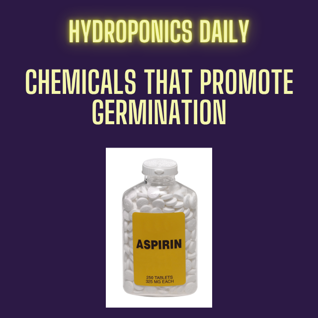 Hydroponics Daily