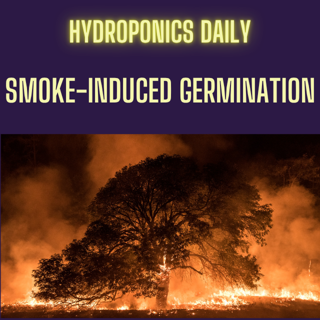 Hydroponics Daily