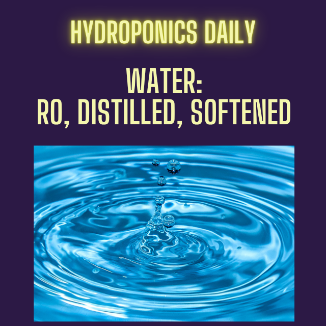 Hydroponics Daily