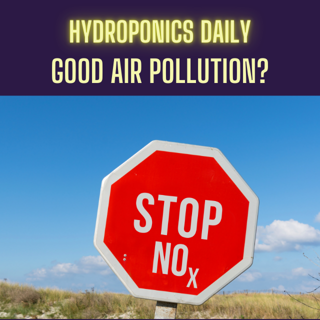 Hydroponics Daily