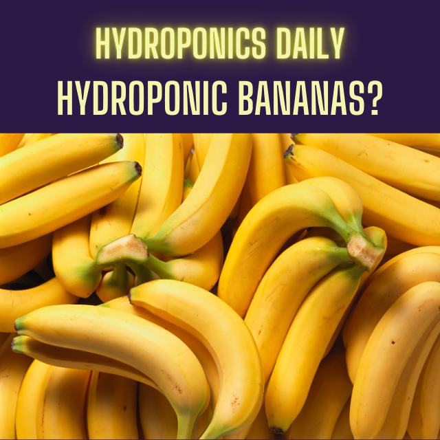 Hydroponics Daily