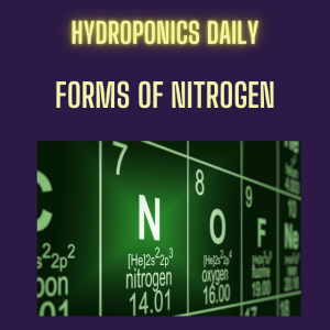 Nitrogen choice: The Key to Hydroponic Success