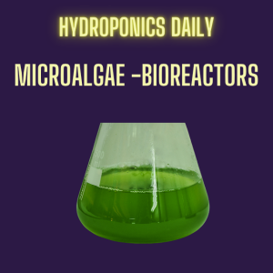 Bioreactors and Microalgae