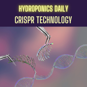 Harnessing the Power of CRISPR in Hydroponics