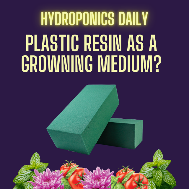 Hydroponics Daily