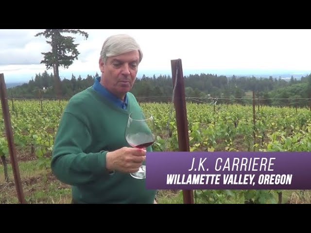 Tune In to Wine with David Kohl : Bordeaux, Burgundy &; Beyond