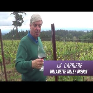 #wine #pinotnoir # winevideo #wineexpert   Oregon Pinot Noir | David Kohl The Grape Explorer