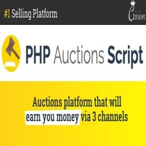 ₹299 - PHP Auctions Script