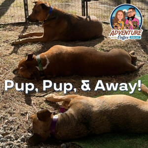 Pup, Pup, & Away!