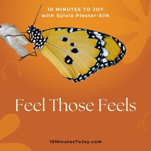 Feel Those Feels with Sylvia Plester-Silk