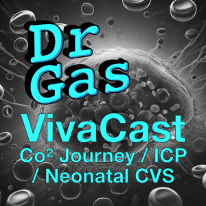 GasGasGas - Viva - Co2 Journey, IntraCranial Pressure and Neonatal Physiology