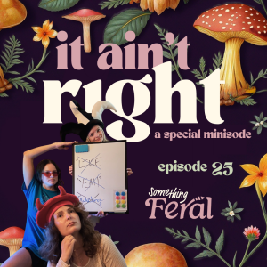 Ep 25 (Minisode): It Ain't Right - Men Edition