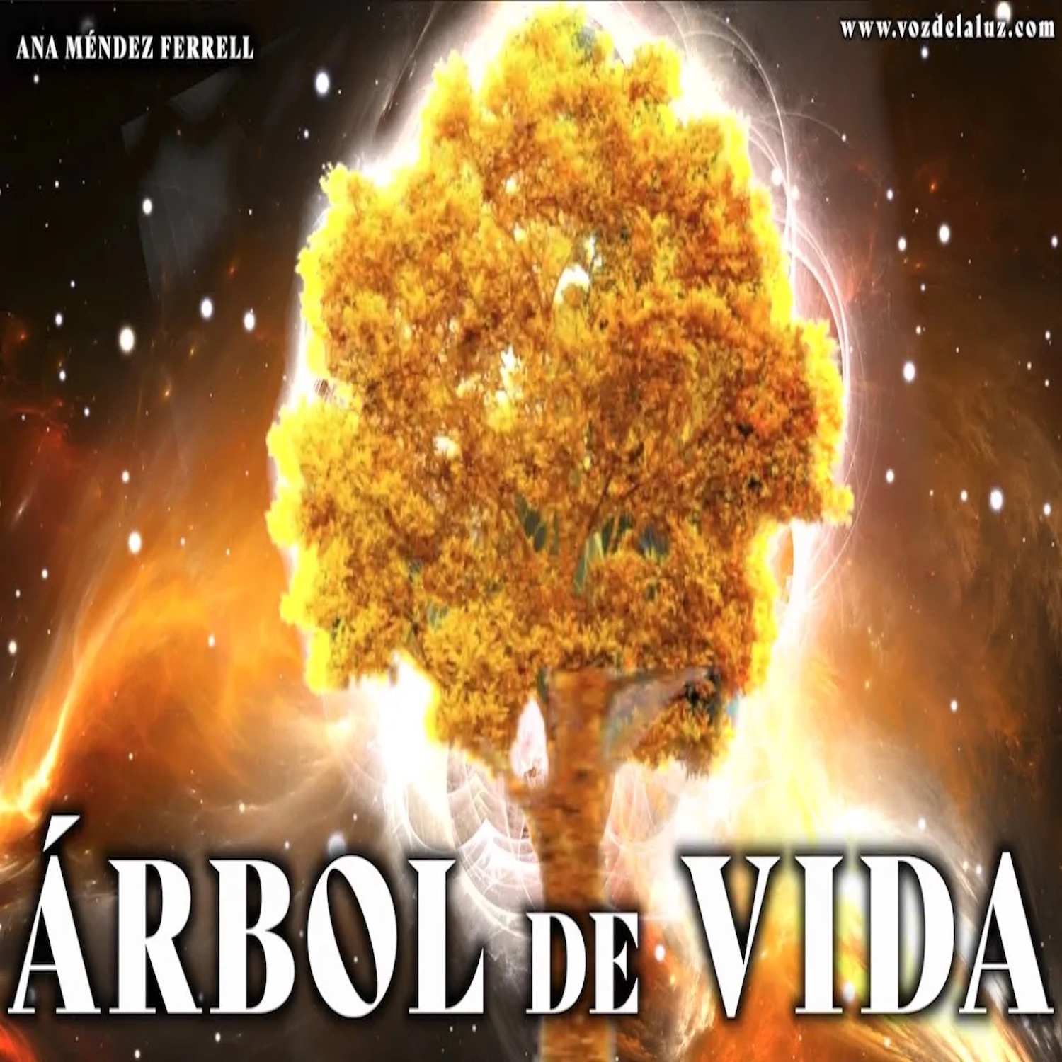 cover of episode Arbol de Vida - Ana Méndez Ferrell